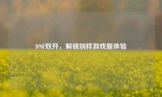 DNF双开，解锁别样游戏新体验
