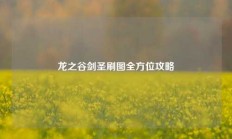 龙之谷剑圣刷图全方位攻略