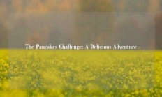 The Pancakes Challenge: A Delicious Adventure