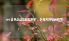 DNF女鬼剑剑宗技能解析，剑舞天涯斩破苍穹