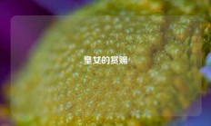 皇女的赏赐
