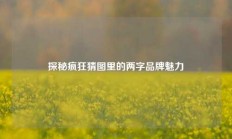 探秘疯狂猜图里的两字品牌魅力