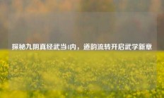 探秘九阴真经武当4内，道韵流转开启武学新章