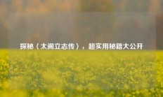 探秘〈太阁立志传〉，超实用秘籍大公开