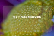 拳皇 13 按键设置深度全解析