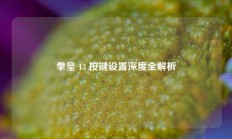 拳皇 13 按键设置深度全解析