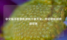 中文版手机单机游戏下载大全，开启单机游戏新世界