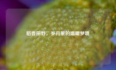 稻香田野，岁月里的温暖梦境