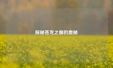 探秘苍龙之腹的奥秘