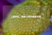sp彼岸花,阴阳之界的绝艳悲歌