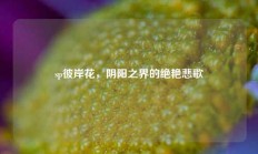 sp彼岸花，阴阳之界的绝艳悲歌