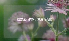 暗影之力药剂，禁忌与救赎