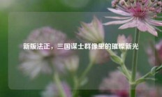 新版法正，三国谋士群像里的璀璨新光