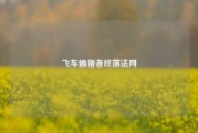 飞车偷猪者终落法网
