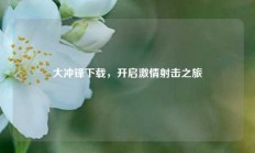 大冲锋下载，开启激情射击之旅
