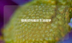 晴雨经纬编织生活绮梦