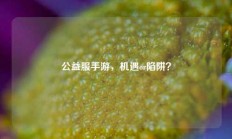 公益服手游，机遇or陷阱？