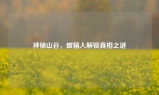 神秘山谷，破箱人解锁真相之谜