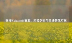 探秘Wallpaper18资源，风险剖析与合法替代方案