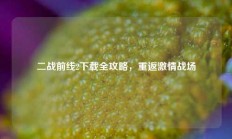 二战前线2下载全攻略，重返激情战场
