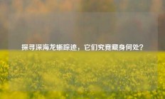 探寻深海龙蜥踪迹，它们究竟藏身何处？