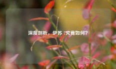 深度剖析，伊苏 7究竟如何？