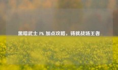 黑暗武士 PK 加点攻略，铸就战场王者