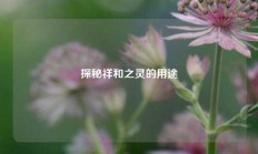 探秘祥和之灵的用途