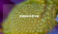 老瞎眼的执着守望