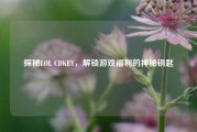 探秘LOL CDKEY,解锁游戏福利的神秘钥匙