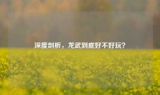 深度剖析，龙武到底好不好玩？