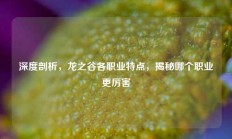 深度剖析，龙之谷各职业特点，揭秘哪个职业更厉害