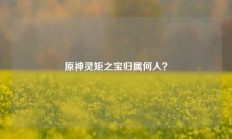 原神灵矩之宝归属何人？