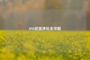 DNF武器净化全攻略