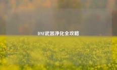 DNF武器净化全攻略