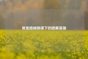 冥皇隐秘阴谋下的隐藏英雄