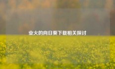 业火的向日葵下载相关探讨