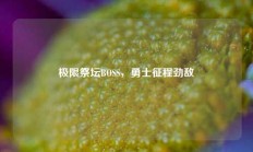 极限祭坛BOSS，勇士征程劲敌