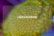 CF雷神价格深度剖析