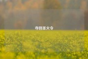 夺回圣火令