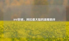 DNF好感，阿拉德大陆的温暖羁绊