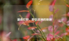潘森打野，野区战神的咆哮