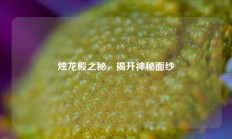 烛龙殿之秘，揭开神秘面纱