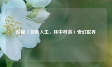 探秘〈领地人生，林中村落〉奇幻世界