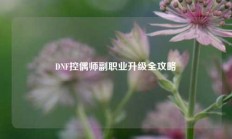 DNF控偶师副职业升级全攻略