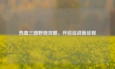 热血三国野地攻略，开启征战新征程