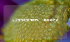 走进游戏的魅力世界，一场探寻之旅