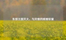 东部王国灭火，与灾难的艰难较量