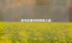 探寻还童丹的获取之路