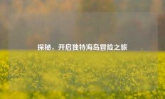 探秘，开启独特海岛冒险之旅